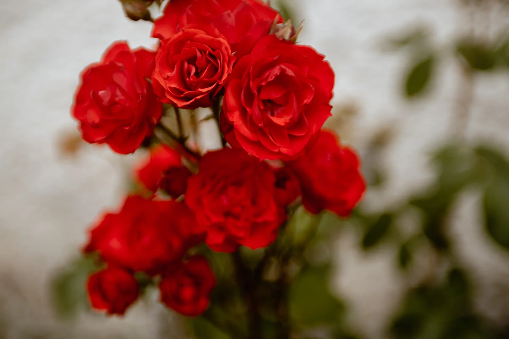 Katolskt bröllop i Vårdsbergs kyrka av Studio Engström - bröllopsfotograf i Linköping Norrköping Östergötland